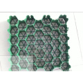 Plastic Paver Grid / Drenagem Plástica e Green Grass Preto Folha Grade Mold / Grass Grid Mold